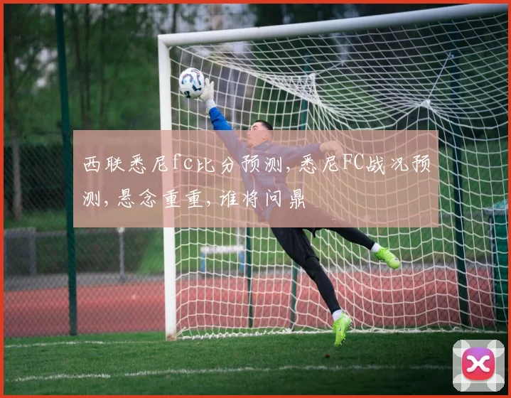 西联悉尼fc比分预测,悉尼FC战况预测,悬念重重,谁将问鼎