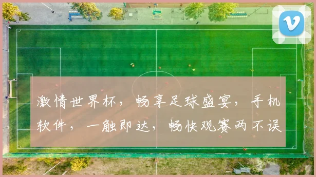 激情世界杯，畅享足球盛宴，手机软件，一触即达，畅快观赛两不误，快来加入我们
